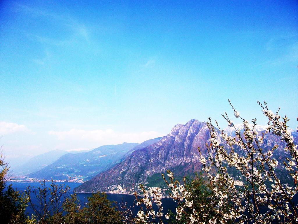 Hotel Poggio D'Oro Riva di Solto Kültér fotó